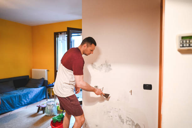 Best Home Mold Removal  in Payson, IL